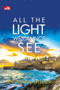 All the light we cannot see