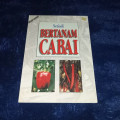 bertanam cabai