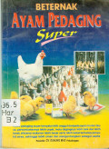 Beternak Aayam Pedagang
