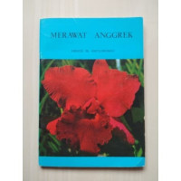 Image of merawat anggrek